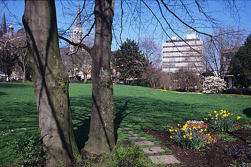LVR_ADR_0000030048_efb6f.jpg